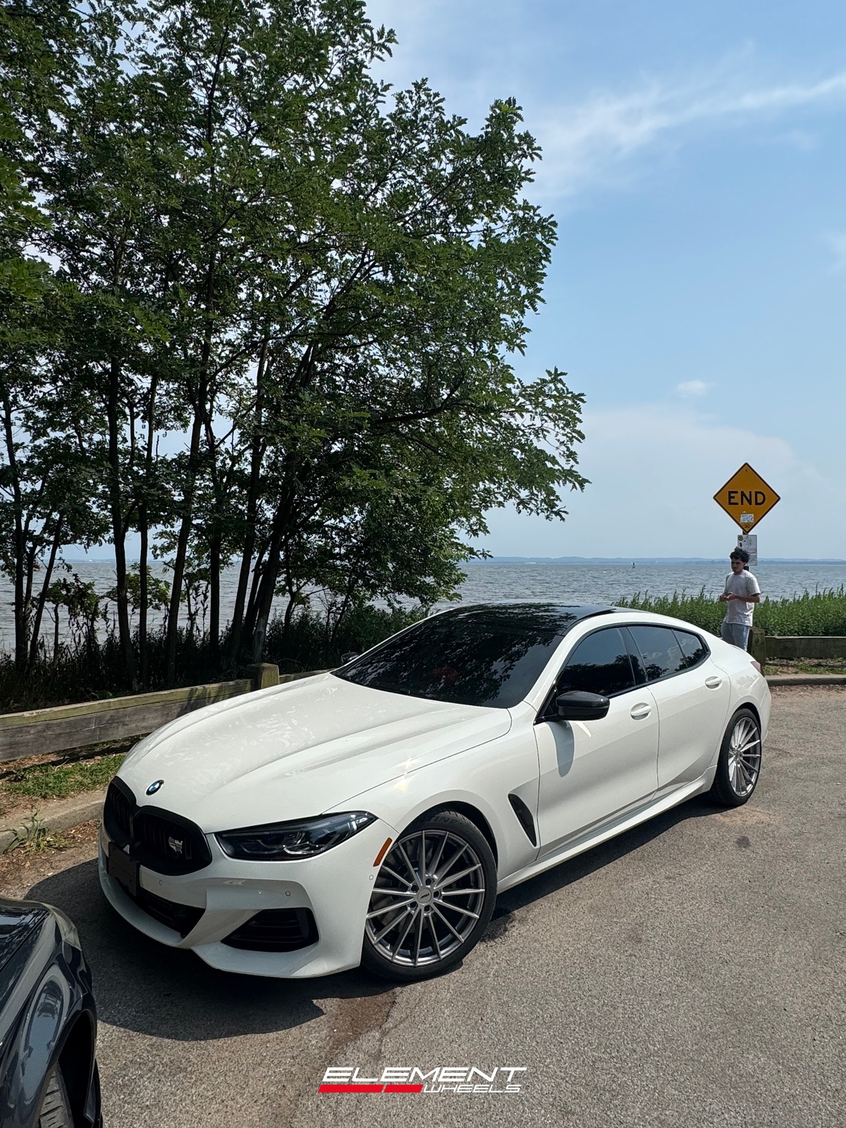 20x9 | 20x10.5 Staggered TSW TW005 Goodwood Hypersilver (Flow Formed) on 2020-2025 BMW 8 Series