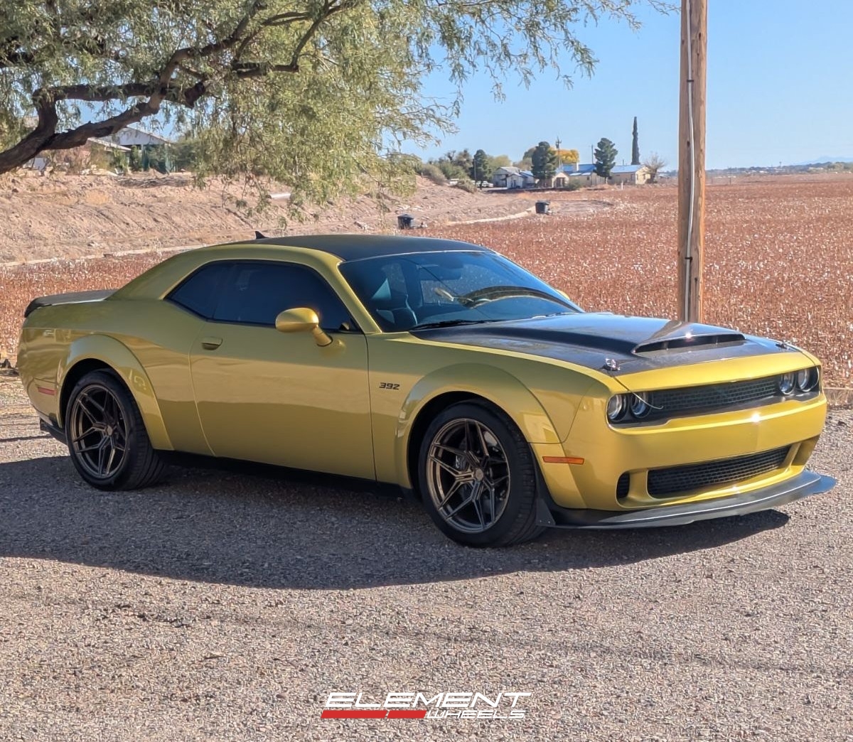 20 inch Variant Zeno in Gloss Bronze on a 2022 Dodge Challenger (Factory Widebody)