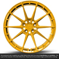19x11 variant aure raw phoenix gold (full forged) (super deep concave) (custom)