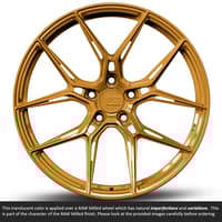 Variant Nysa Raw Maricopa Copper