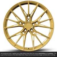 20x9 variant rian raw spun gold (full forged) (custom)