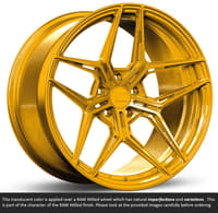 19x11 variant zeno raw phoenix gold (full forged) (super deep concave) (custom)