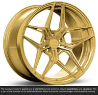 20x11 variant zeno raw spun gold (full forged) (super deep concave) (custom)