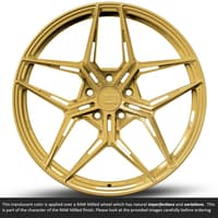 19x11 variant zeno raw spun gold (full forged) (deep concave) (custom)