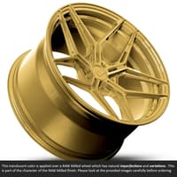 20x11 variant zeno raw spun gold (full forged) (deep concave) (custom)