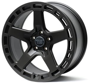 TSe53