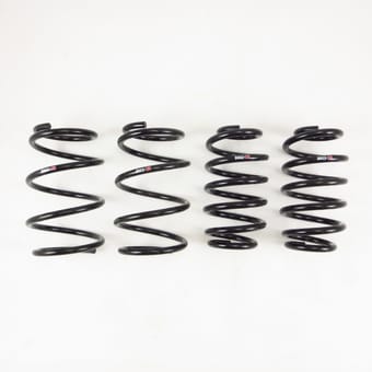 rs-r 16-18 im down sus springs t557d - image