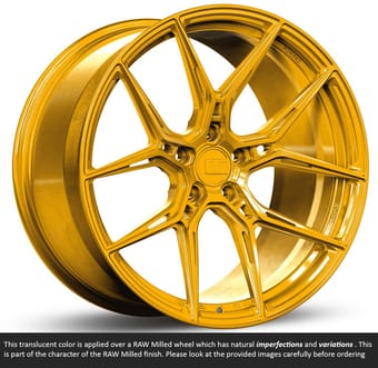 Variant Nysa Raw Phoenix Gold