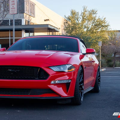 20 inch Staggered Variant Radon Gloss Piano Black on a 2019 Ford Mustang GT w/ 4 Piston Brembos