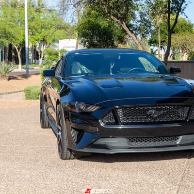Staggered 20 Inch Niche Verona M168 in Gloss Black on a 2021 Ford Mustang