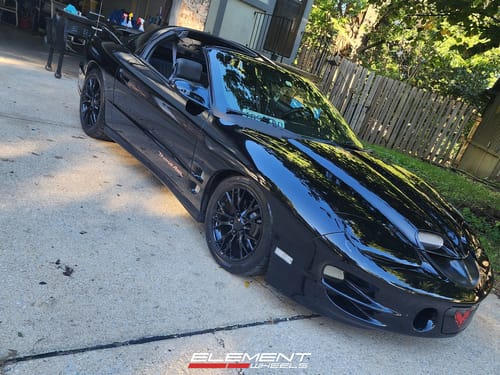 1993 Pontiac Firebird/Trans Am