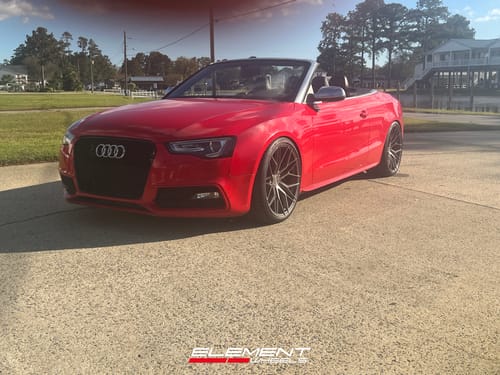 2008 Audi S5