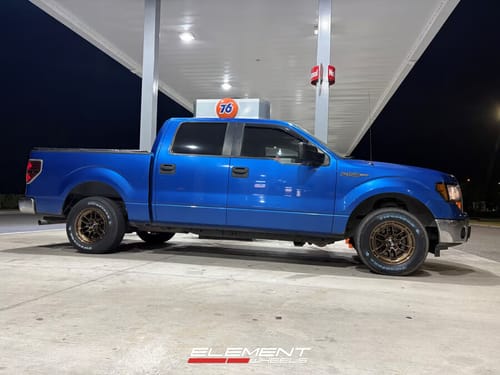 2009 Ford F-150