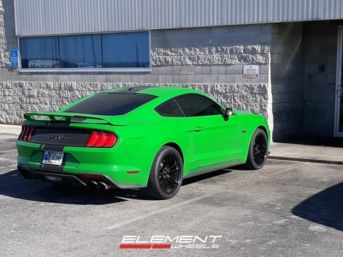 2019 Ford Mustang
