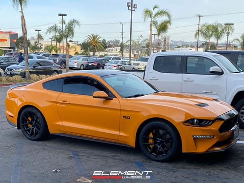2019 Ford Mustang