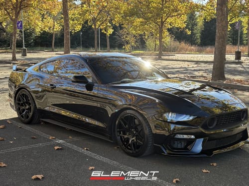 2019 Ford Mustang