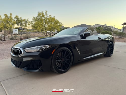 2020 BMW 8 Series