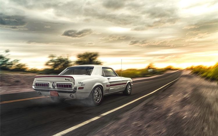Sunset Mustang Speed Ratings Banner